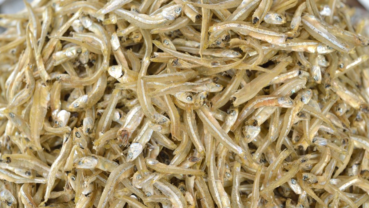 Dried Anchovies - The Small Fish with Big Health Benefits