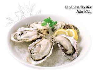 Japanese Oyster - Premium Fresh Seafood