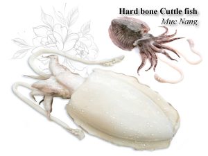 Cuttlefish (cleaned) - Premium Seafood from Vietnam