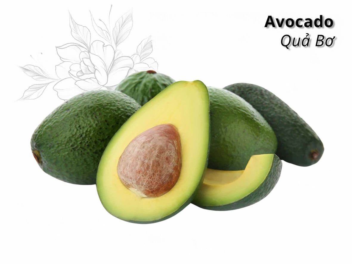 Avocado from Vietnam: A Creamy Delight with Tropical Flair