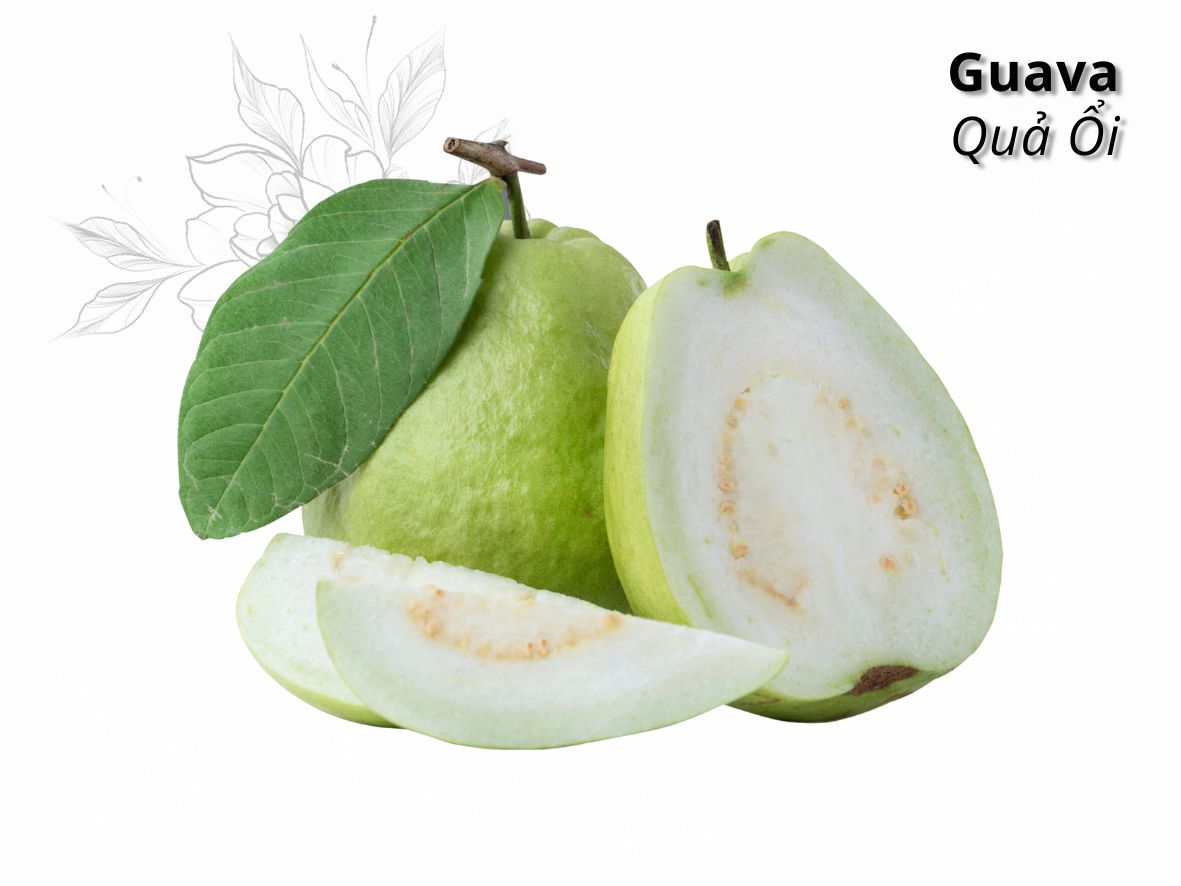 Guava from Vietnam: A Tropical Treasure with Unique Flavor and Health Benefits