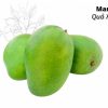 Mango from Vietnam: A Tropical Delight of Unparalleled Sweetness